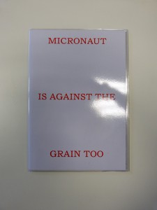 Micronaut is against the grain too